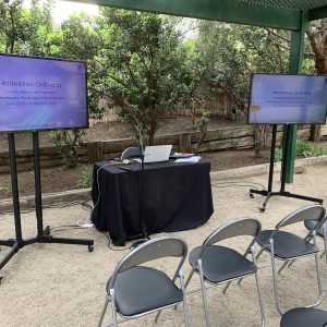 Pack 2 Pantallas 50”